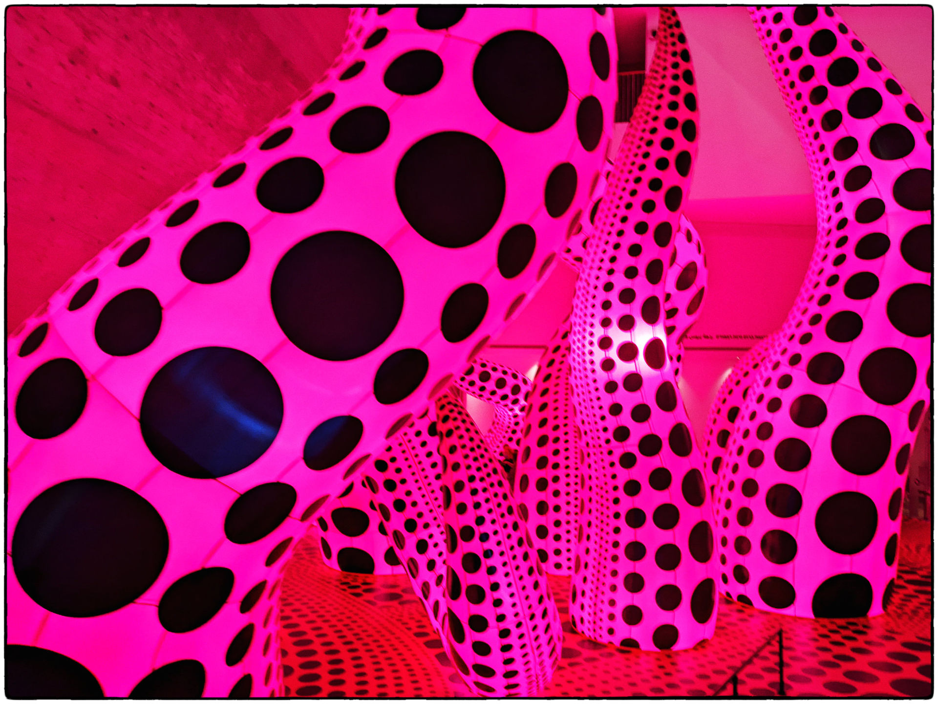 yayoikusama.jpg
